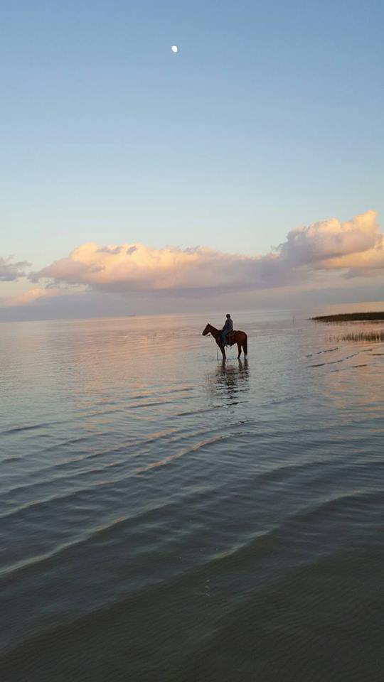 16003326_1839964442934386_484907783155214247_n