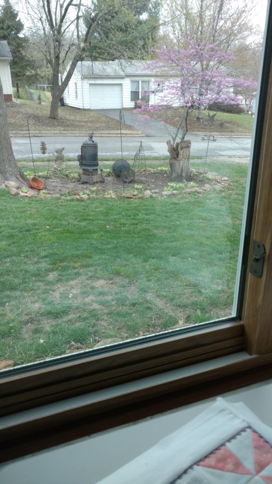 IMG_20170402_112446511