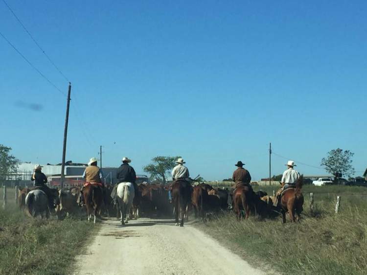 22730095_10208520093720095_7192457434973231417_n