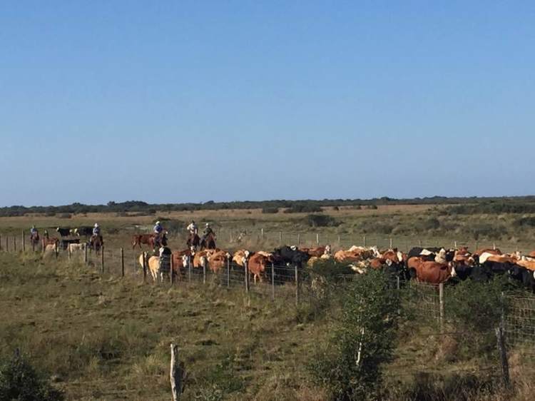 23559530_10208632440288689_9050828996887139157_n