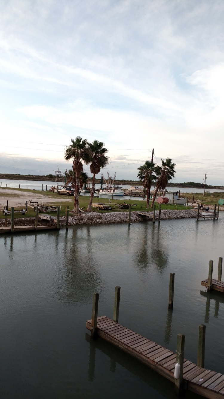 IMG_20171120_072830279