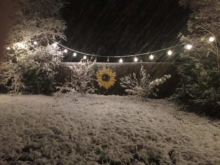 24312818_2037345416306374_6582918359927392009_n