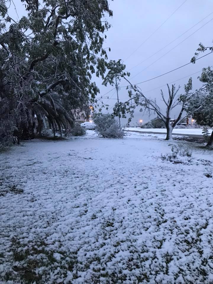 24993331_10212915263709820_1438465278555683360_n