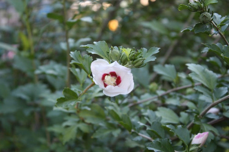 IMG_0324 - Copy - Copy